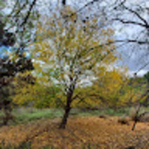 Meet your Posher, Vitoria